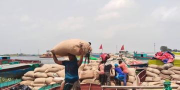 “৮০০ টাকায় ধান, ৯০০ টাকায় শ্রম—চাপে কৃষক”