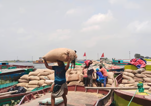 “৮০০ টাকায় ধান, ৯০০ টাকায় শ্রম—চাপে কৃষক”